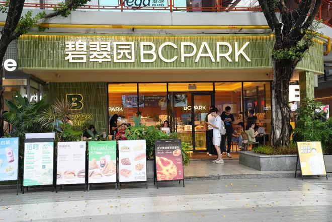 碧翠园加盟：烘焙健康赛道上的先行者尊龙凯时链接碧翠园加盟十大排行榜(图2)