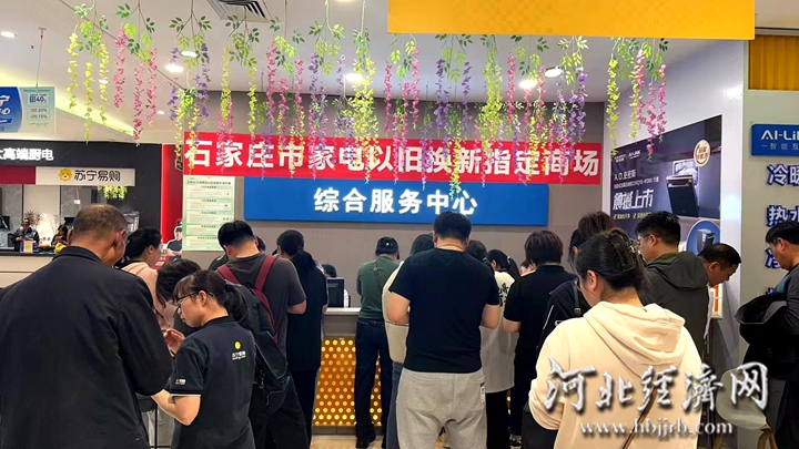 ”叠加“双11” 河北家电以旧换新累计销售额突破100亿凯时尊龙人生就是博深化“两新”工作 促进投资消费｜“国补(图3)