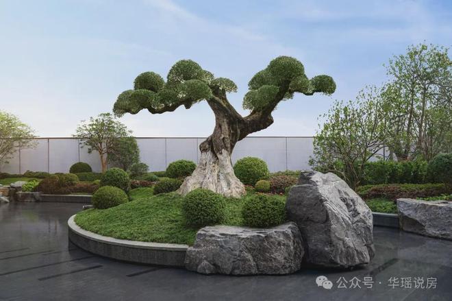 现王！狮山「安雲180」惊爆开卷！尊龙凯时链接苏州神盘！360°兑(图11)